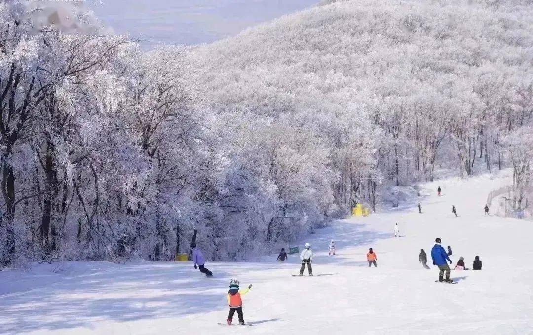 九游体育网站：【设计师】热“雪”沸腾即将开滑——吉林市！(图2)