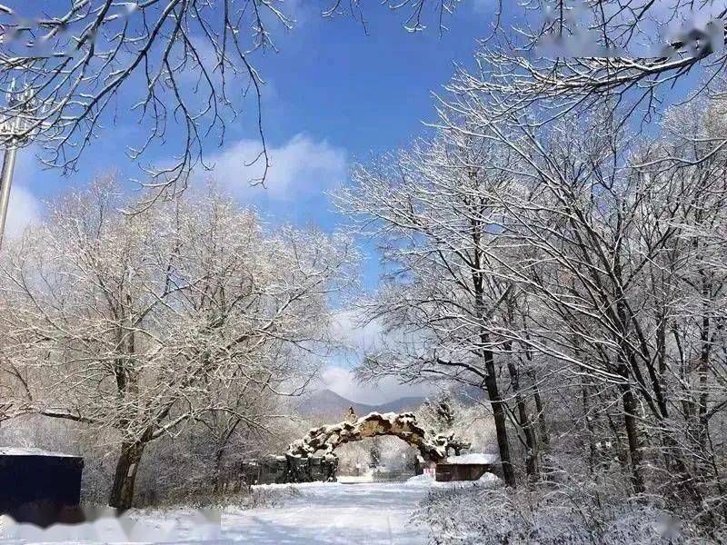 九游体育网站：【设计师】热“雪”沸腾即将开滑——吉林市！(图9)