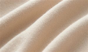 2024中国室内滑雪场市场深度分析：室内滑雪场近年来在国内快速发展(图2)
