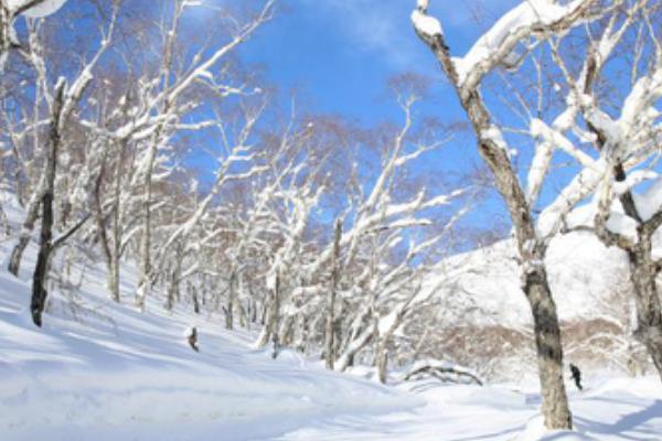 九游体育：长白山天池雪滑雪场(图3)