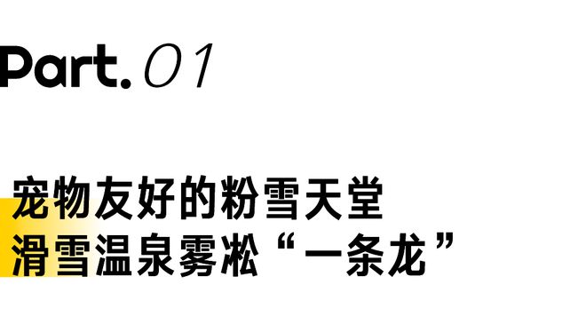 龙年初雪来临最会玩的人已经去撒野了(图2)