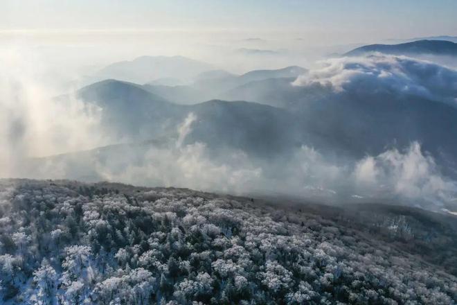 龙年初雪来临最会玩的人已经去撒野了(图4)