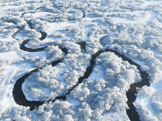 龙年初雪来临最会玩的人已经去撒野了(图7)