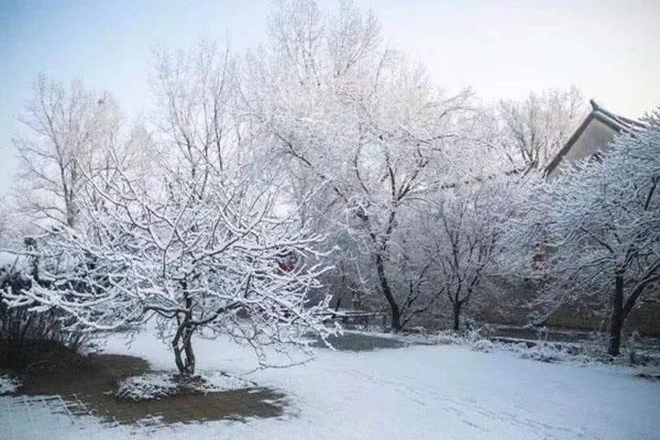 九游体育网站：2024济南哪里滑雪好玩济南玩雪的地方(图1)