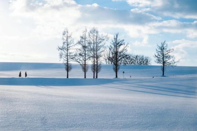 又到滑雪季！一起解锁冬日top级滑雪胜地(图3)