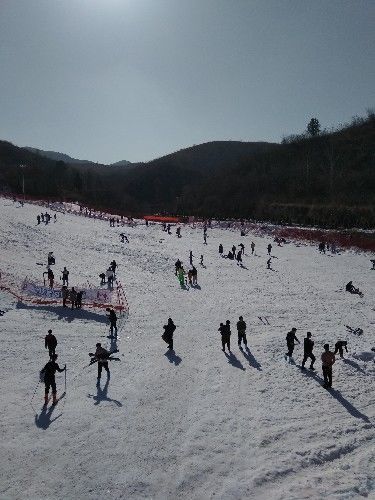 九游体育网站：滑雪技巧体验大自然乐趣(图1)
