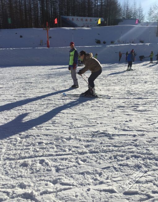 九游体育网站：滑雪技巧体验大自然乐趣(图2)