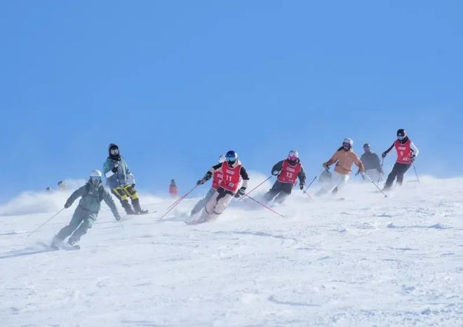 九游体育：在新疆可可托海跟着奥地利教练学滑雪(图2)