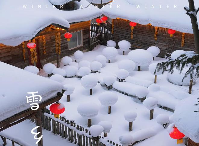 东北雪乡当地旅行5天详细全攻略雪乡五日游大约花费2000左右(图1)