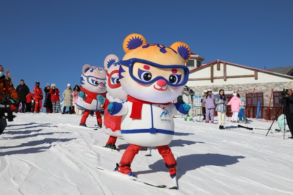 九游体育网站：2024—2025哈爾濱冰雪季啟幕暨亞布力滑雪開板儀式啟動(图1)