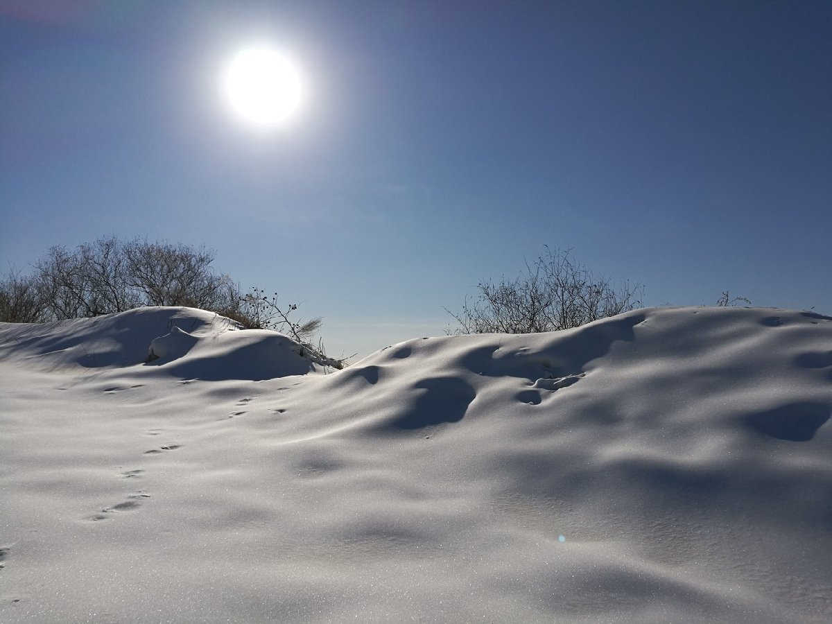 九游体育网站：2024天津蓟州盘山滑雪场游玩攻略（时间+门票）(图1)