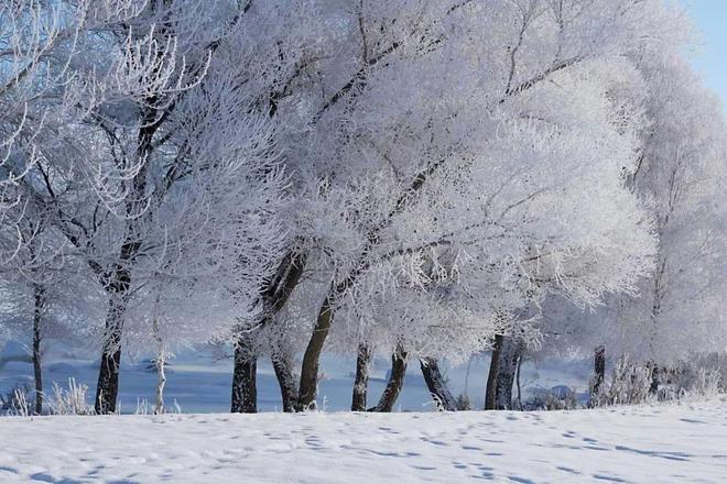 赏雪景、享雪趣布尔津多措并举推进冰雪旅游高质量发展(图5)