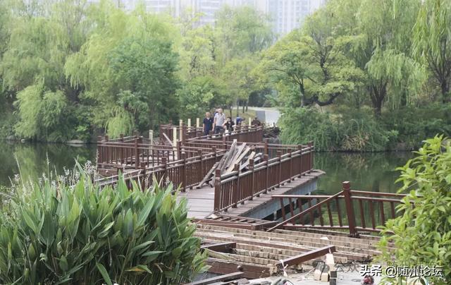 九游体育：市文化公园：维修木质设施确保游客安全(图2)