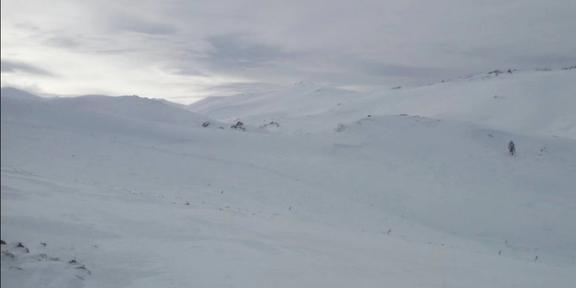 酷暑正当时带你走进阿尔泰山的凉爽世界滑雪者的漫步天堂(图3)