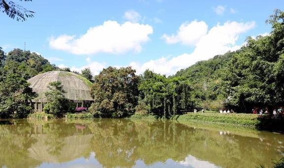 云南九大冬季旅游好去处(图4)