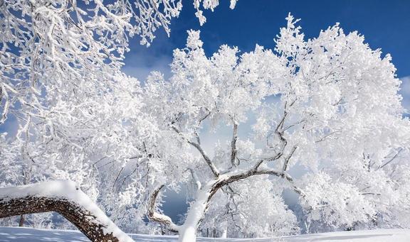 国内八大冰雪景观(图4)