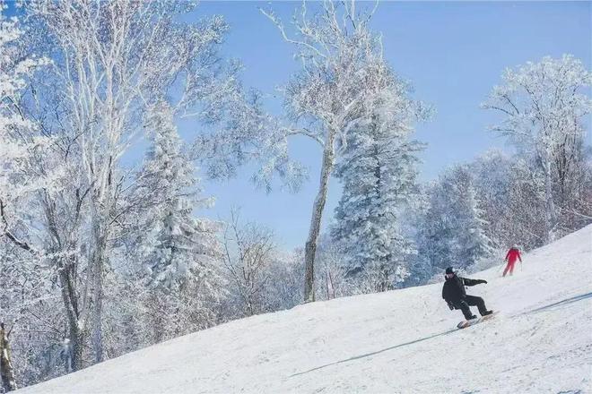 巩固“三亿人上冰雪”成果吉林自己就能带超一个亿？(图1)