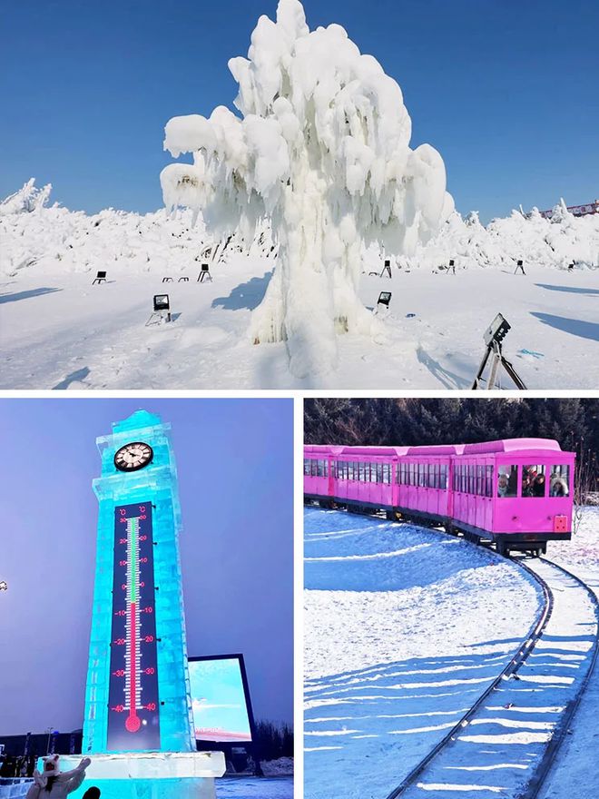 去哈尔滨雪乡5日游报团人均费用去哈尔滨雪乡5天4晚报团线路(图2)