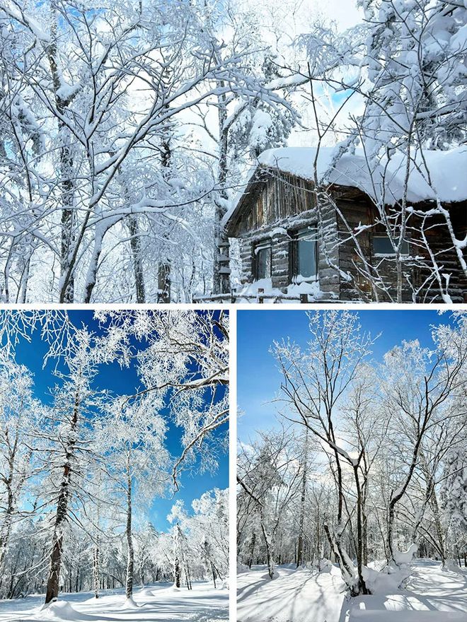 去哈尔滨雪乡5日游报团人均费用去哈尔滨雪乡5天4晚报团线路(图4)