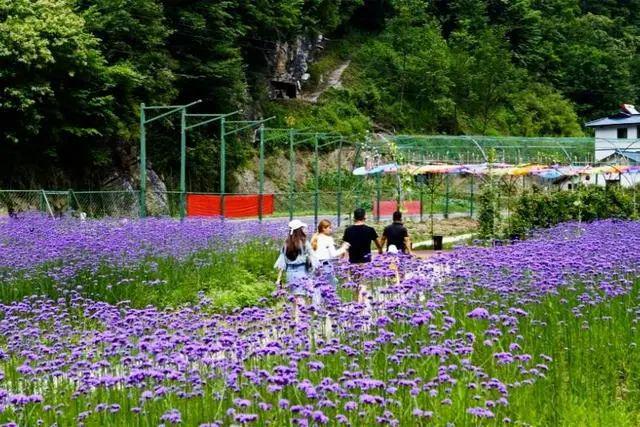 九游体育：四川这个避暑胜地夏季平均温度只有23度是中国十大避暑名山(图4)