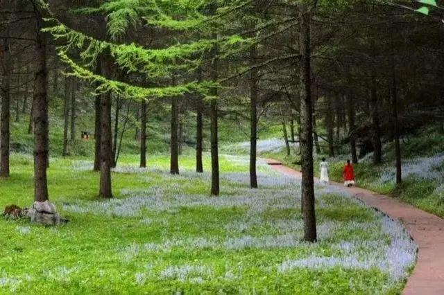 九游体育：四川这个避暑胜地夏季平均温度只有23度是中国十大避暑名山(图2)