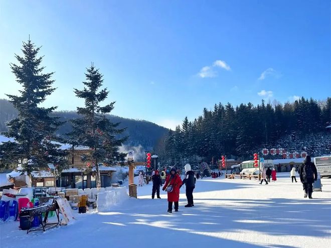 哈尔滨十佳旅行社联系方式口碑好的旅游公司电话(图1)
