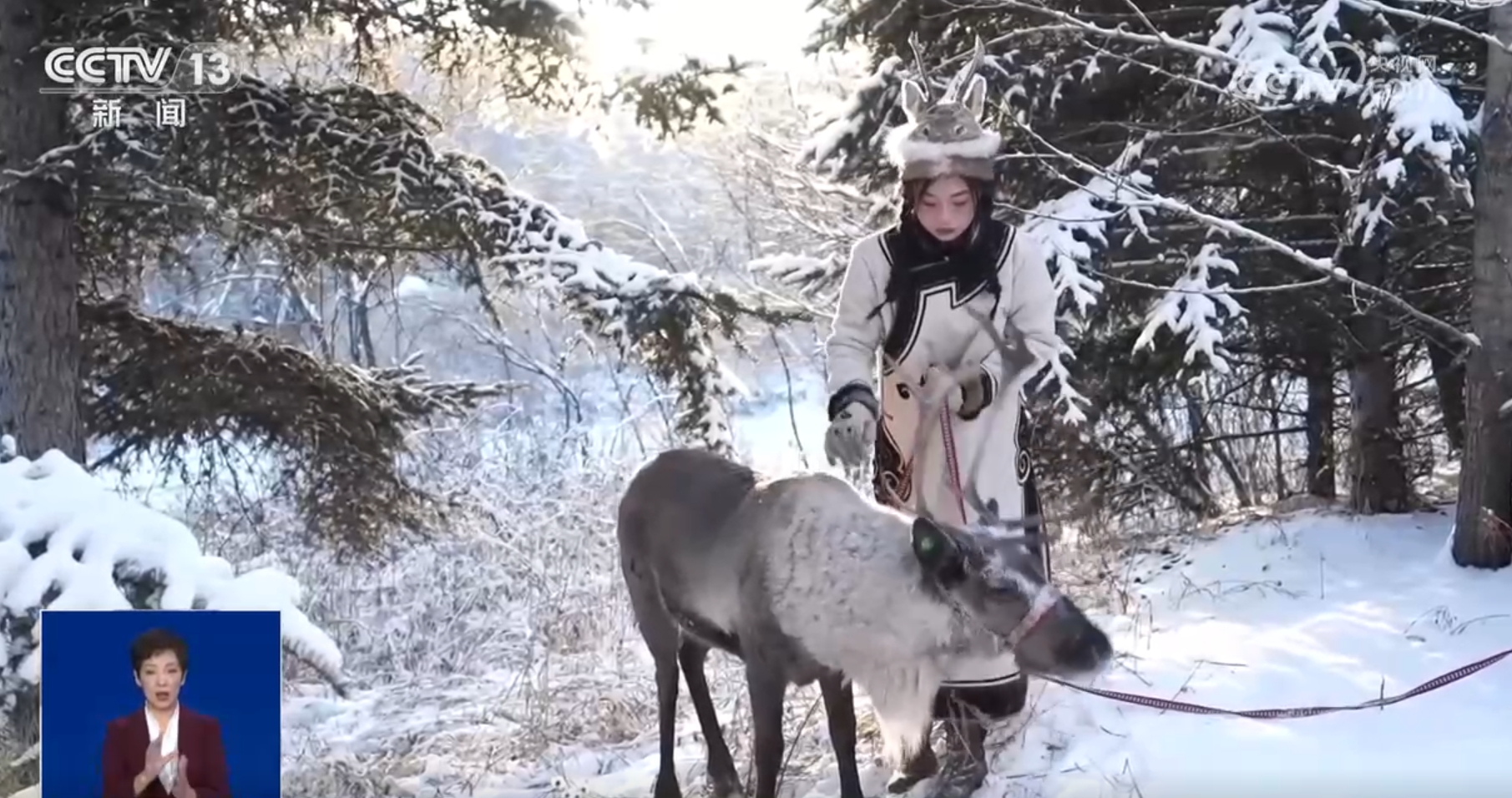 透过数据看冰雪旅游热力十足各地蓄势待发推动“冷资源”激活“热经济”(图3)