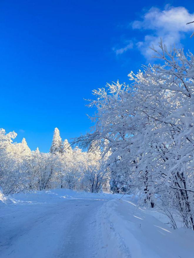 东北雪乡景点攻略东北雪乡5天有哪些好玩的景点花销(图1)