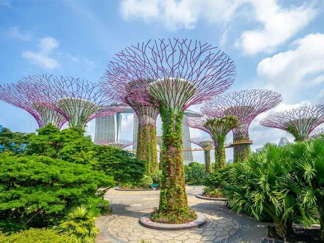 九游体育：旅业速递“五一”中国游客出境游覆盖近200个国家同比增长190%免签及多航线复航带动旅游发展(图7)