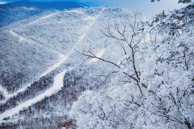 九游体育网站：滑呗全国雪场人气Top5排行榜重磅发布两名都在吉林市！(图4)