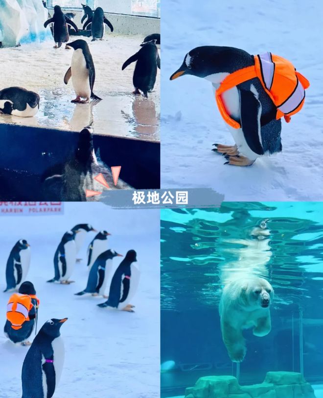 东北7天6晚全攻略7天6晚东北旅游攻略游玩！(图7)