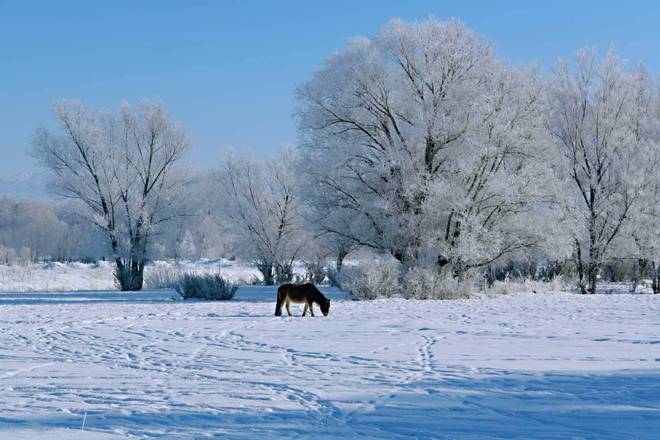 九游体育网站：布尔津县：一城冰雪百里秀(图4)