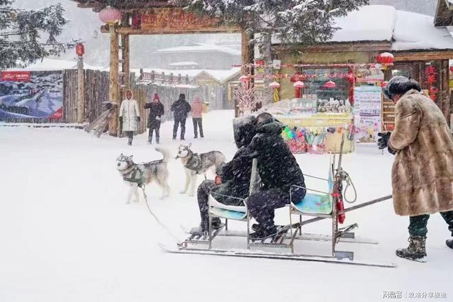 哈尔滨出发四日游去哪雪乡游玩攻略(图4)