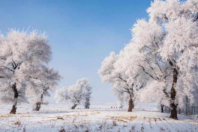九游体育：观雪胜地哪家强国内9个赏雪胜地今年你选哪一个(图8)