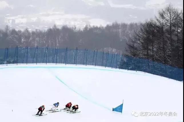 冬奥时刻｜冰雪项目小知识：自由式滑雪(图11)