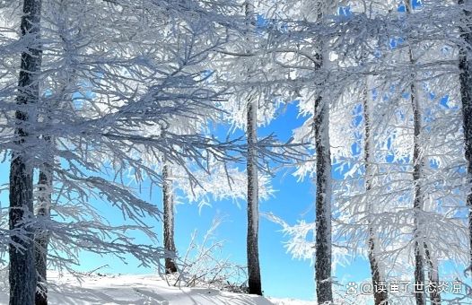 冬季滑雪乐趣无限！贵州滑雪场等你来嗨！(图2)