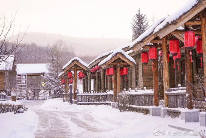 国内最好的雪场在哪里？(图5)