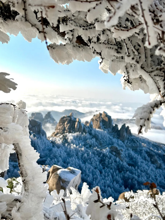新年初雪来了你想要的冰雪游山东都能帮你“安排”！(图7)