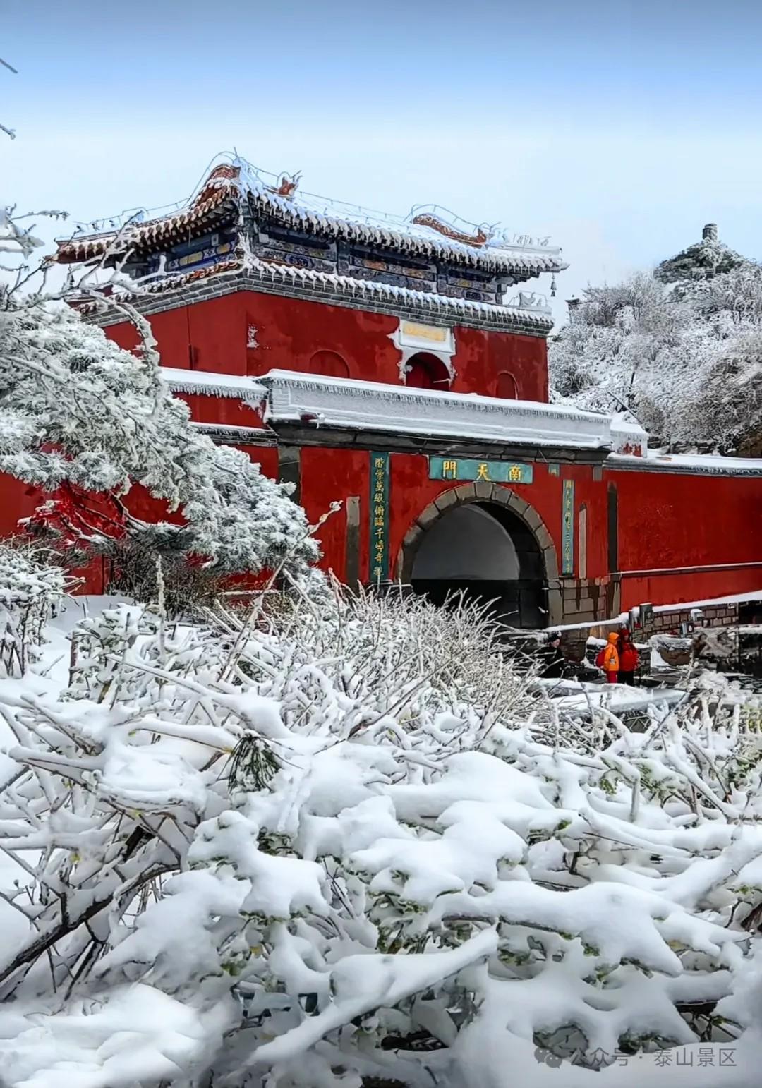 新年初雪来了你想要的冰雪游山东都能帮你“安排”！(图10)