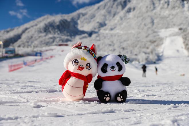 九游体育：畅享暖冬·2025消费新观察｜南国典范冰雪热持续火热蓉城(图2)