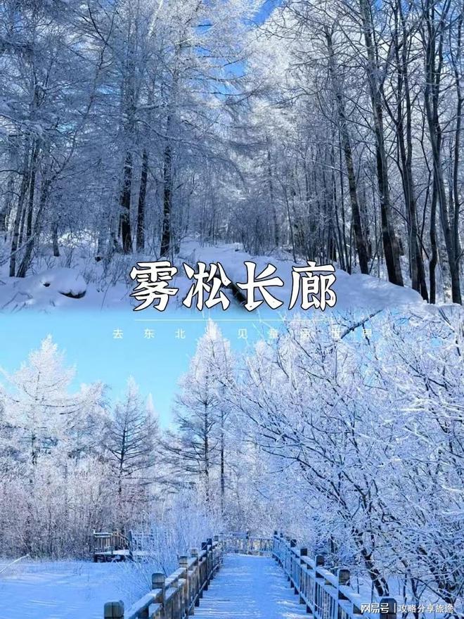 黑龙江游玩攻略自助游雪乡旅游攻略五天(图2)