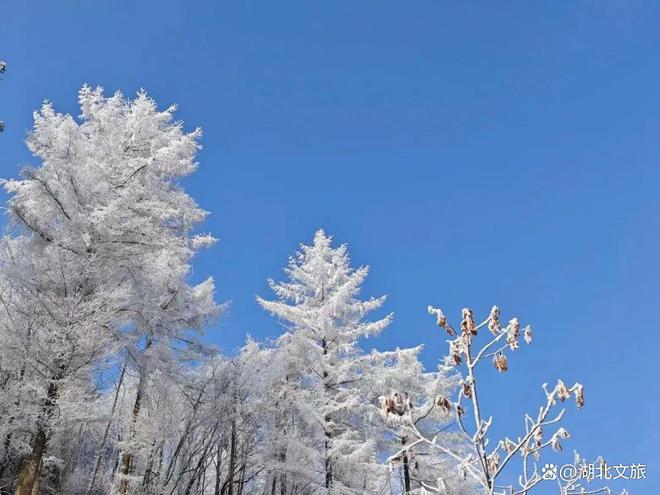 南国冰雪之旅：绝美打卡指南(图6)