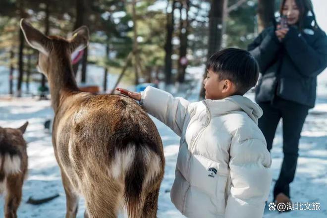 南国冰雪之旅：绝美打卡指南(图26)