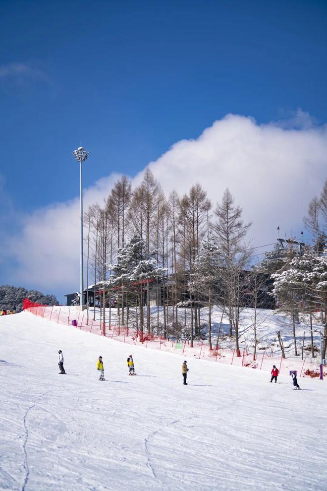 吉林：承载着新中国首批高山滑雪运动的冰雪记忆！(图1)