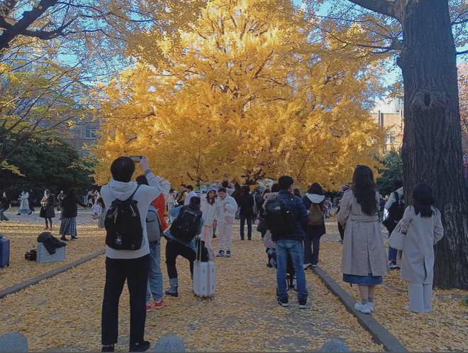 九游体育网站：东京大学校门惊现中国有钱家庭“留学考察团大巴”中国家长“瞄准日本大学”的背后(图5)
