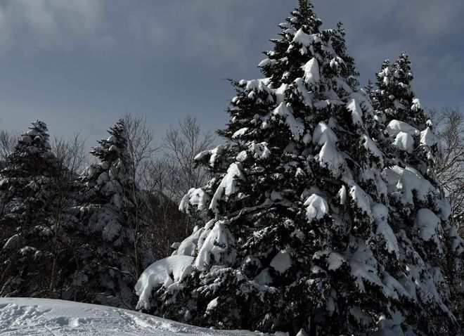 突发！一名中国男子在日本长野县滑雪途中不幸身亡(图2)
