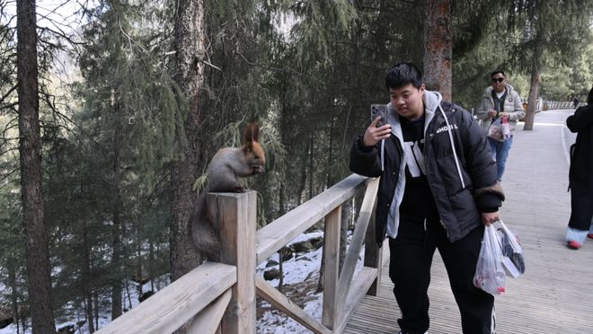 阜康：6项“天山天池+”全域旅游政策带动旅游热(图3)