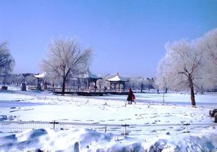 九游体育：滑雪正当时国内最佳十大滑雪胜地(图6)