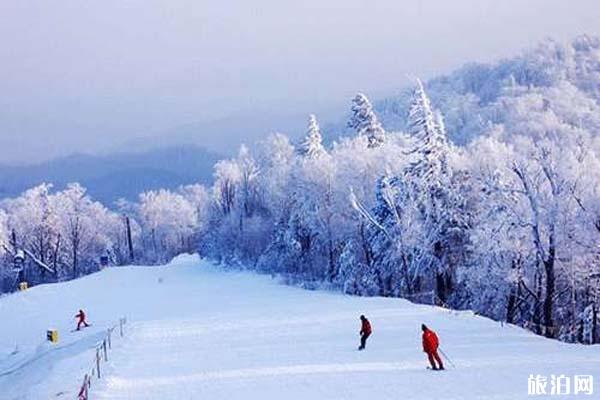 滑雪场推荐我国有哪些比较好的滑雪场(图1)