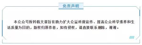 毛绒玩具可以代替护具吗？滑雪安全指南来了(图2)